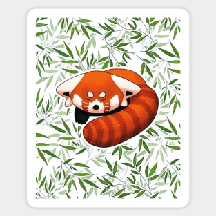 Drawing of cute sleeping Red Panda with bamboo leaves background Sticker